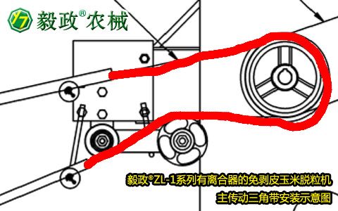 毅政牌ZL1系列有離合器的免剝皮玉米脫粒機，主傳動三角帶正確安裝